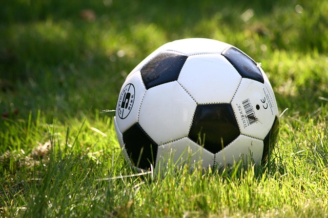 Her er eksperternes favoritter: De bedste rejsedeals til pl-fans